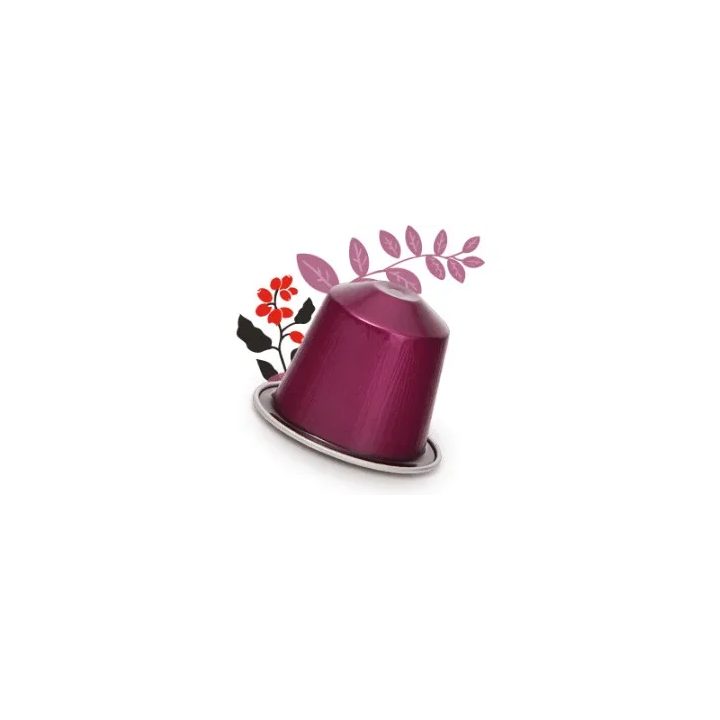 Nescafé India Espresso 10 cápsulas para sistema Nespresso®