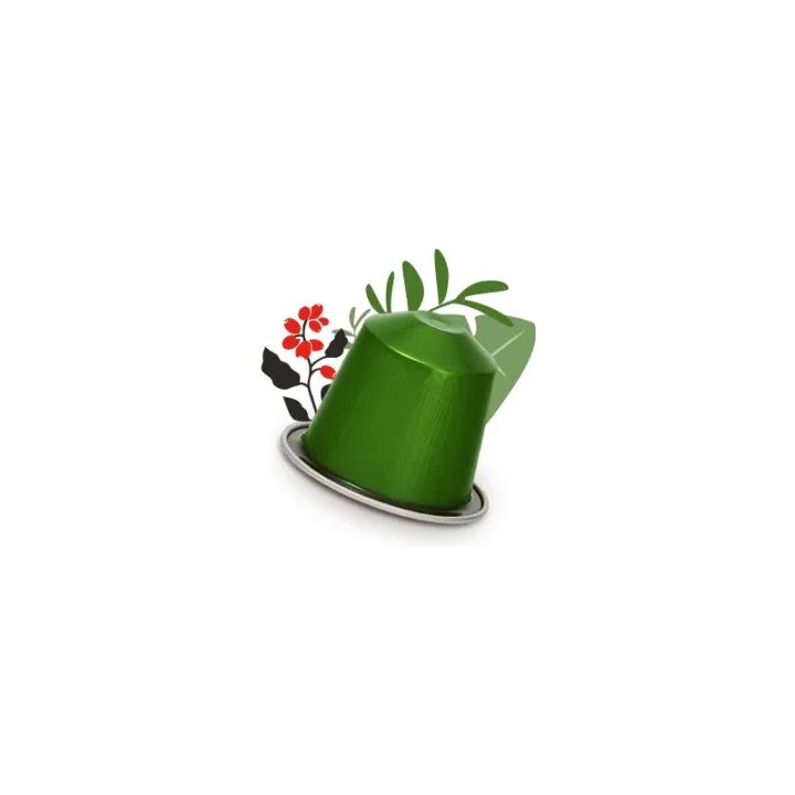 Nescafé Brazil Lungo 10 cápsulas para sistema Nespresso®