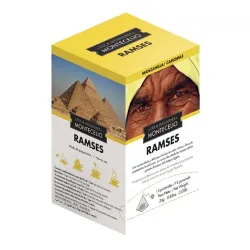 RAMSES Manzanilla 15 Piramides
