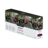 Pack 8 Stracto Delicato Tray box