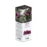 Montecelio Stracto DELICATO 10 U. sistema Caffitaly