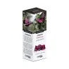 Montecelio Stracto DELICATO 10 U. sistema Caffitaly