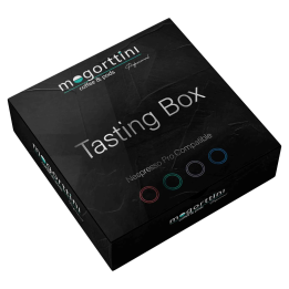 Tasting box Mogorttini 4 Variedades nespresso Professional