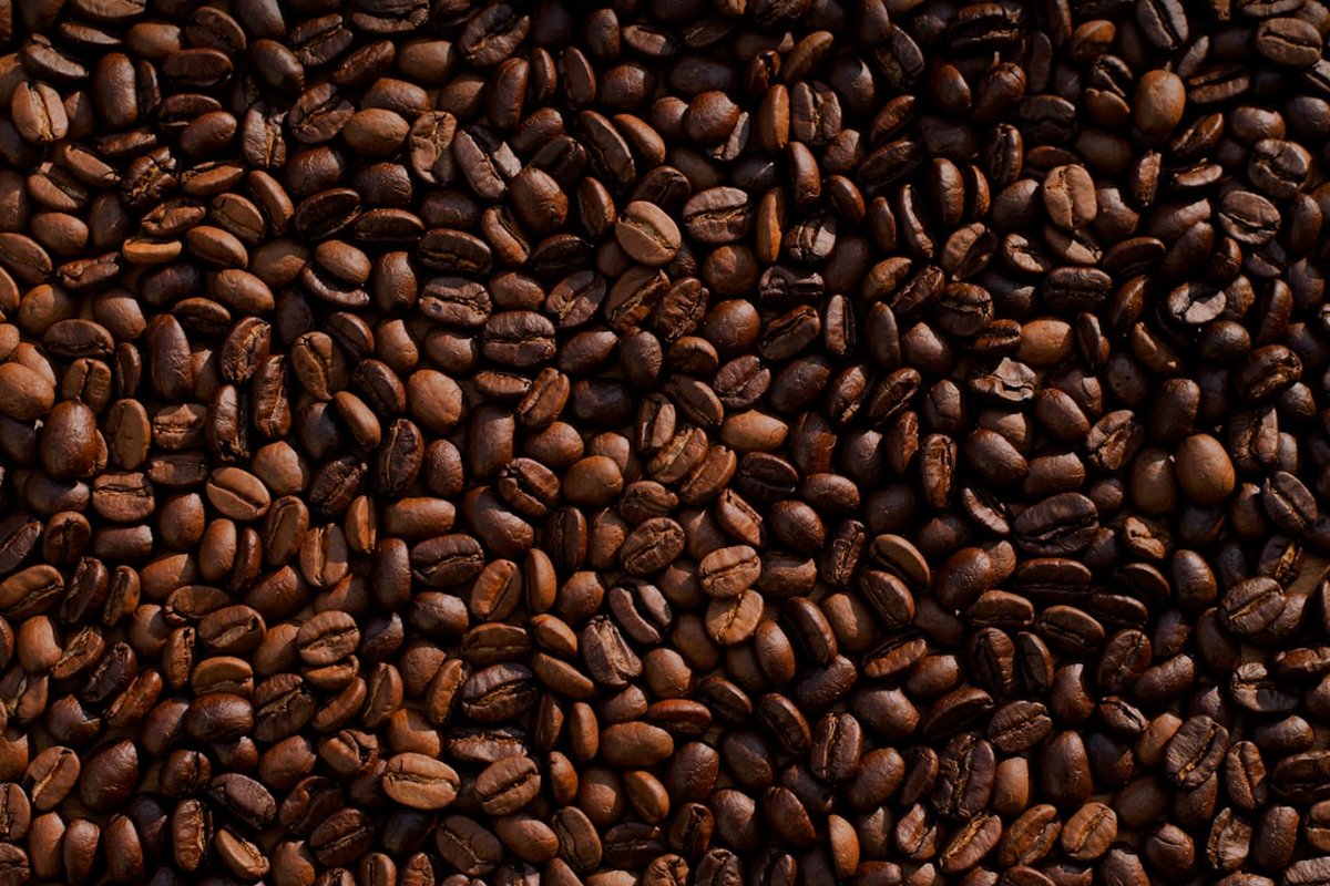 Granos de café arábica y robusta comparativa