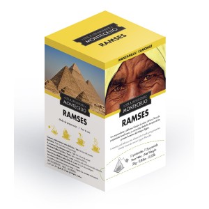 RAMSES Manzanilla 15 Piramides